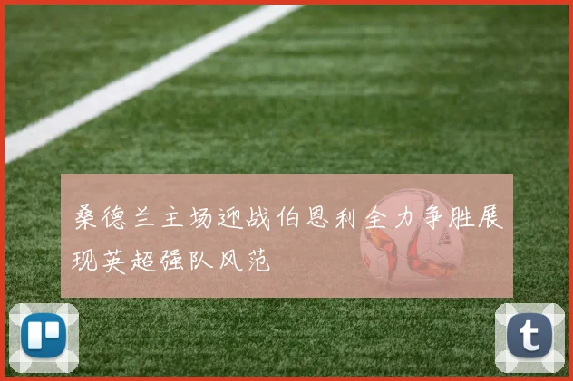 桑德兰主场迎战伯恩利全力争胜展现英超强队风范