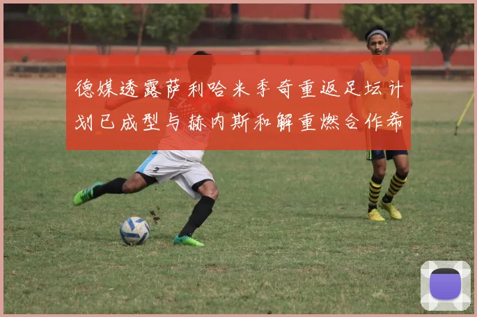 德媒透露萨利哈米季奇重返足坛计划已成型与赫内斯和解重燃合作希望